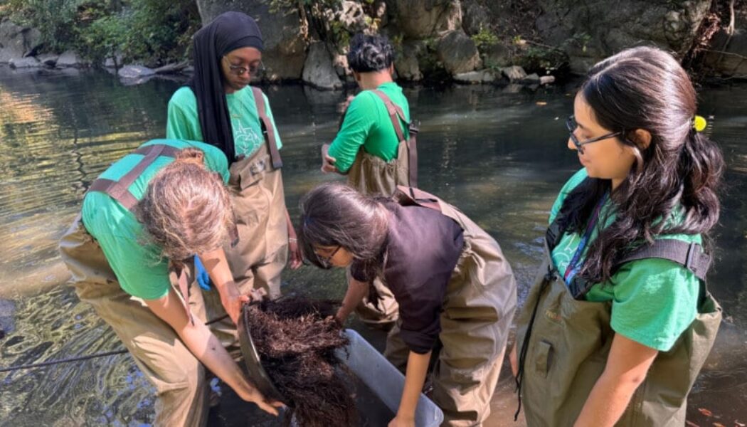 Project TRUE interns sample macroinvertebrates.