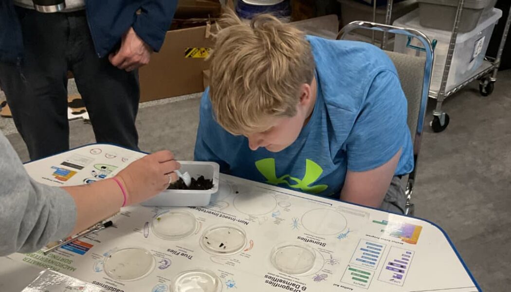 A special education student engages in a leaf pack study
