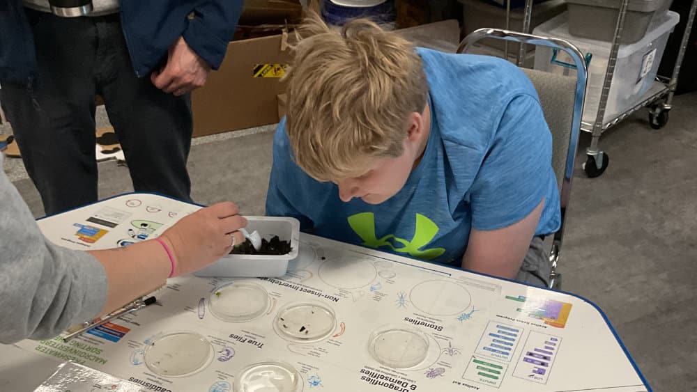 A special education student engages in a leaf pack study