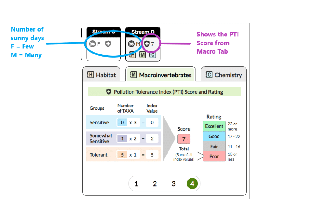 Leaf Pack Network Simulation results example.