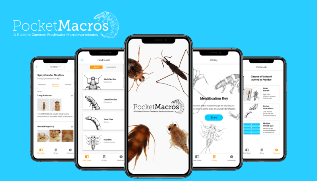 Simulated screenshots of PocketMacros app