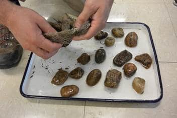 Photo of rocks being removed from a rock pack