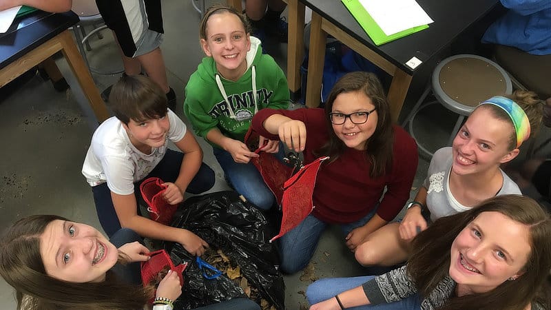 Students filling artificial leaf packs.